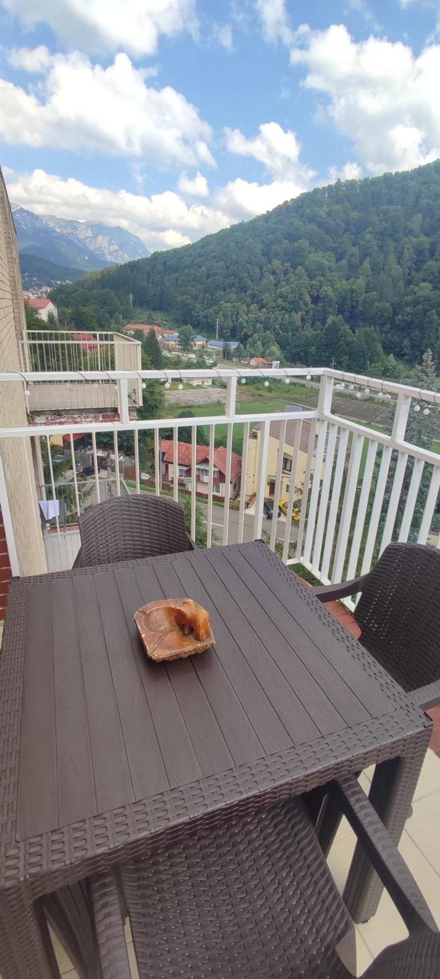 Duplex Belle View Sinaia-Free Parking Lejlighed Eksteriør billede