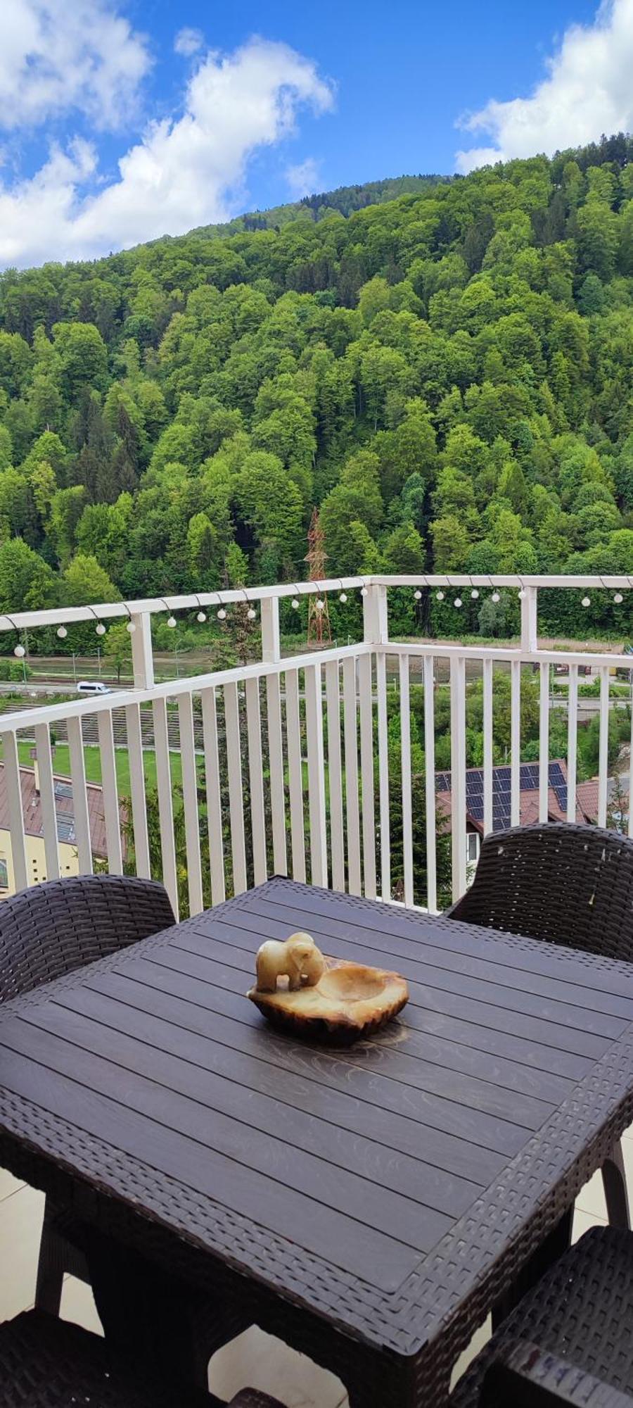 Duplex Belle View Sinaia-Free Parking Lejlighed Eksteriør billede