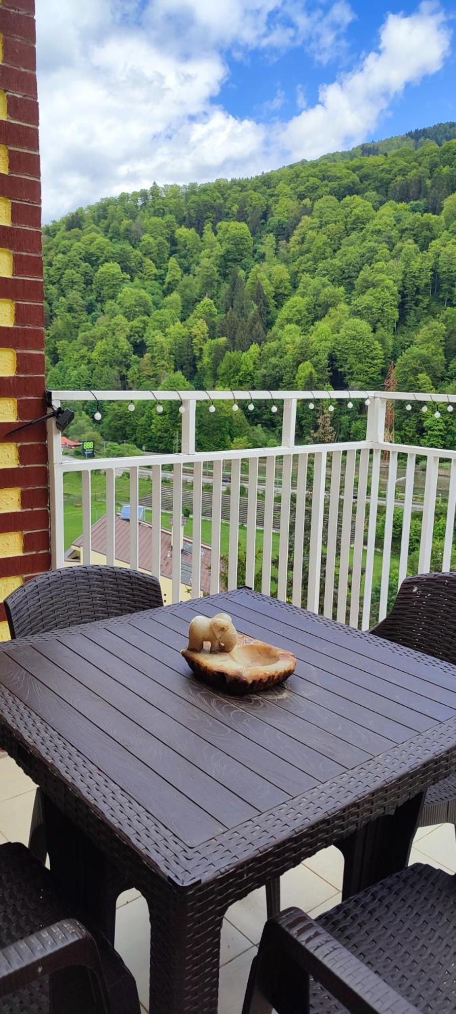 Duplex Belle View Sinaia-Free Parking Lejlighed Eksteriør billede